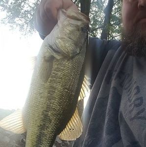 Meet your Posher, Lonnie